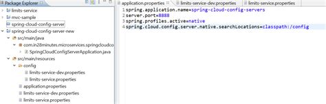Spring Cloud Config Fails To Pick Configuration From Local File System