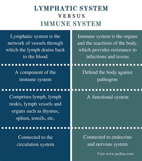 The immune system is an extremely important defence mechanism that can identify an invading organism and destroy it. Difference Between Lymphatic and Immune System ...