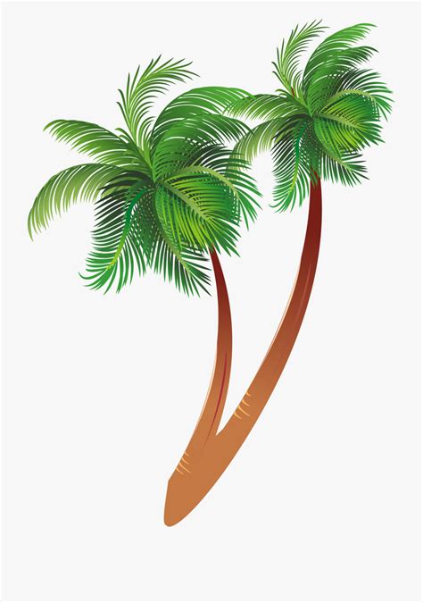 Free Palmetto Tree Clipart 10 Free Cliparts Download Images On Clipground 2024