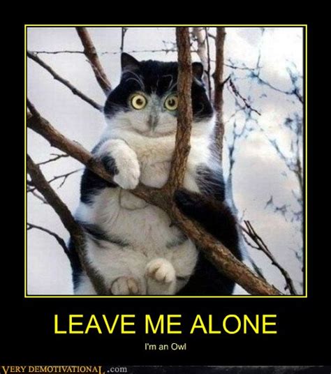 Leave Me Alone Very Demotivational Demotivational Posters Very
