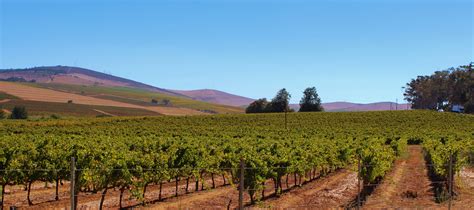 Free Images Landscape Vineyard Field Farm Prairie Crop Soil