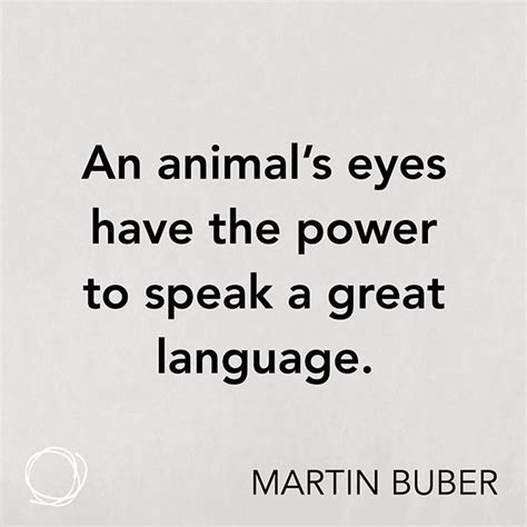 Inspirational Quote An Animals Eyes Have The Power To Speak A Great