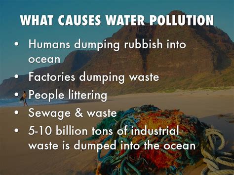 The Causes Of Water Pollution