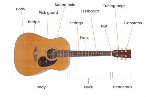 Different Parts Of An Acoustic Guitar