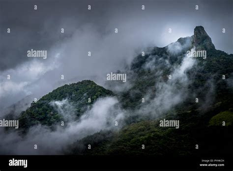 Misty Landscape Scene Of Mountain Cloud Forest Stock Photo Alamy
