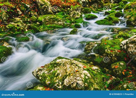 Mountain Creek Detail With Mossy Rocks And Crystal Clear Water Stock