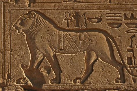 Relief Depicting Barbary Lion From The Precinct Of Amun Re At Karnak