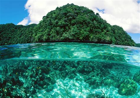 ~a Beautiful Limestone Island~republic Of Palau~ Crystal Clear Water