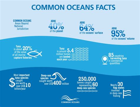 Protecting Our Oceans Fascinating Facts Infographic