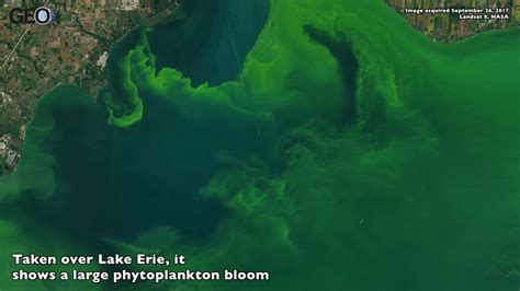 Satellite Image Of A Phytoplankton Bloom In Lake Erie Youtube
