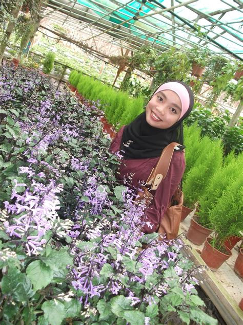 Lot 42 jalan masjid , 39000 tanah rata. Bukan Sekadar Nukilan : ~Wanita Suka Bunga?