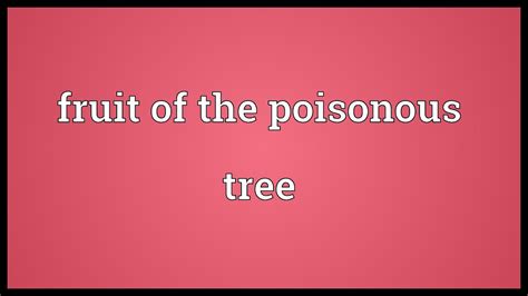The logic of the terminology is that if the source (the tree) of the evidence or evidence itself is tainted, then anything gained (the fruit) from it is tainted as well. Fruit of the poisonous tree Meaning - YouTube