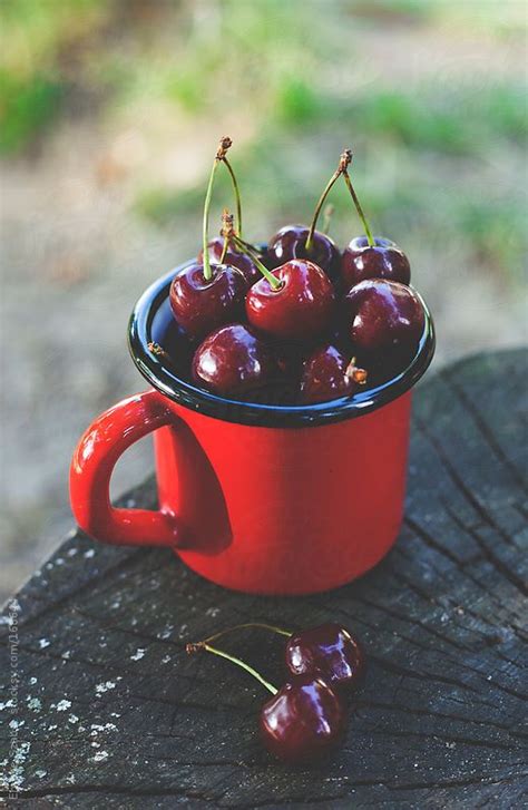 Cherry Farm Cherry Pie Fruit And Veg Fruits And Veggies Vegetables