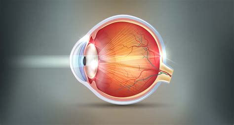 Cataract Overview West Metro Ophthalmology MN