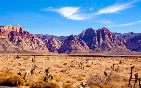 Nevada Desert Wallpaper 2560x1600 31169