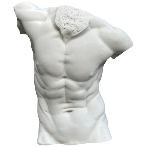 Large Sculpted Male Torso Marble Statue For Sale At Stdibs