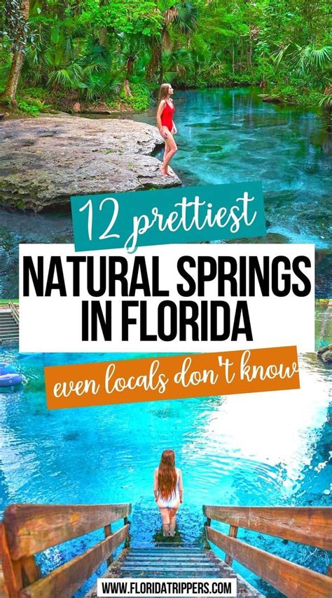 17 Best Natural Springs In Florida You Must Visit Artofit