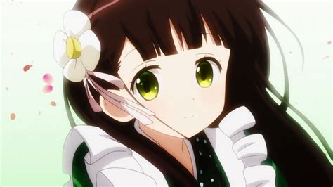 Chiya Ujimatsu Is The Order A Rabbit Wiki Fandom