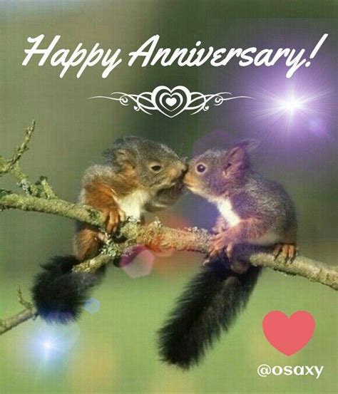 How long have we been celebrating anniversaries? Happy 4th Anniversary to my beautiful wife!! | Cute ...