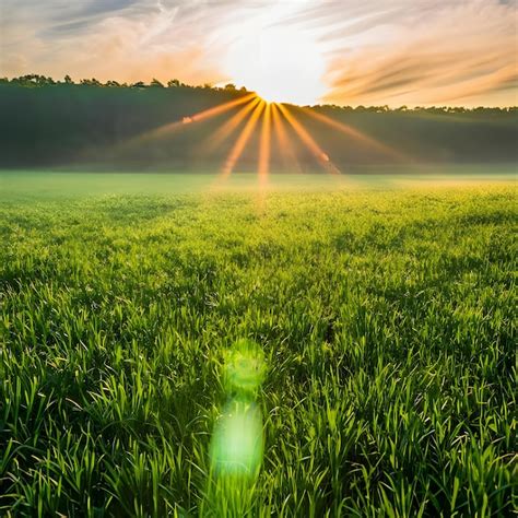 Premium Ai Image Photo Green Fields Sunrise With Sunrays 5