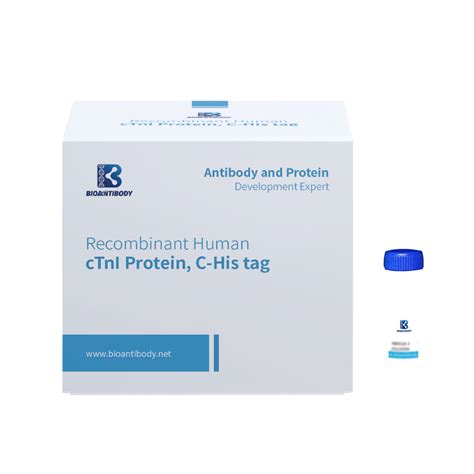 China Recombinant Human Rsv B Strain B1 Fusion Protein C His Tag