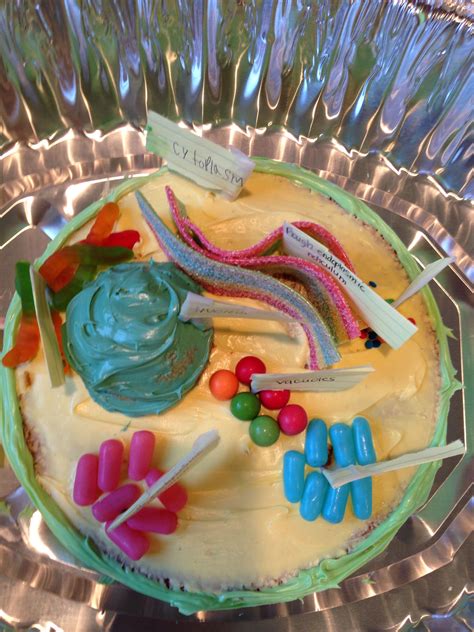 Photo of animal cell model. Animal cell model--made from yellow cake, food coloring ...
