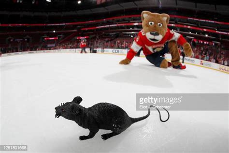 Stanley C Panther Photos And Premium High Res Pictures Getty Images