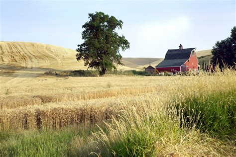 Princeton Professor Proves Rural America Wants To Be Left Behind