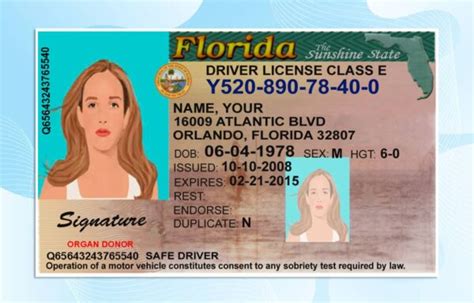 Florida Drivers License Template Psd Photoshop File