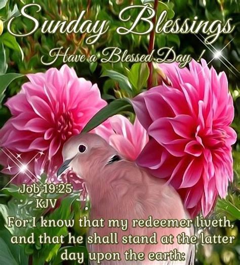 20 Latest Sunday Blessings Kjv Images Poppy Bardon Blessings Pictures