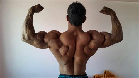 Bodybuilding Back Muscles Google Search Back Muscles Bodybuilding