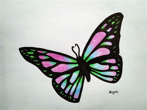 Simple Butterfly Drawing Images With Colour Butterflies Drawing Color