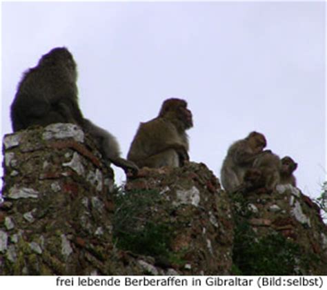Official website for edinburgh airport™, where scotland meets the world. GIBRALTAR (GB) REISEFÜHRER - TIPPS FÜR URLAUBER