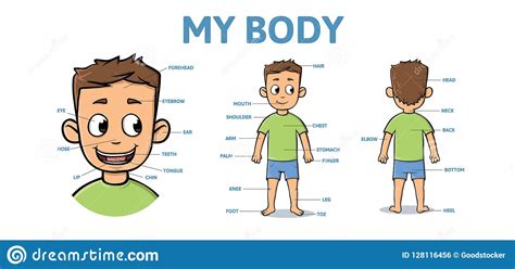 Vocabulary For Parts Of Male Body Cartoon Boy Body With Description