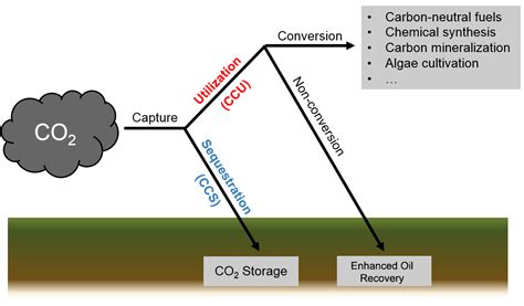 It is then compressed and purified to capture technology options and applications. Carbon capture and utilization - Wikipedia