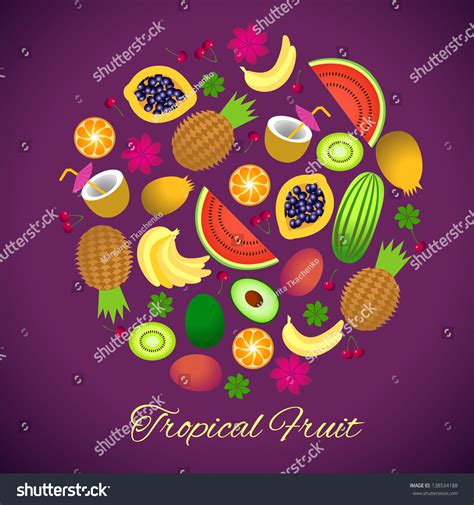Tropical Fruits Stock Vector Royalty Free 138534188 Shutterstock