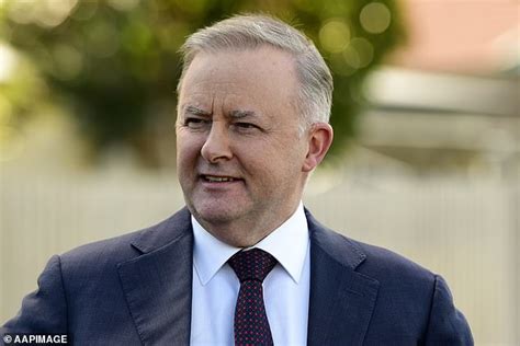 Anthony Albanese Is Set To Become Labor Leader After Jim Chalmers Pulls Out Of The Race