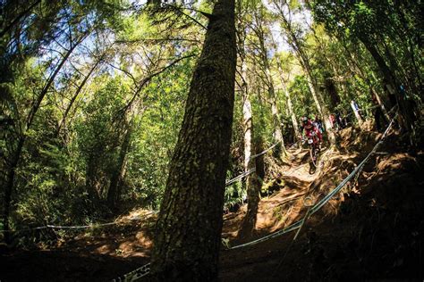 Whats The Big Deal With Crankworx Rotorua Australian Mountain Bike