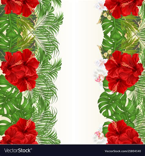 Bunga Raya Vector Png Hibiscus Vector Art Stock Images Depositphotos