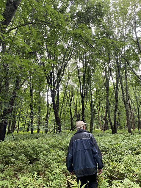 An Oasis Uncovered — Nature Trust of New Brunswick