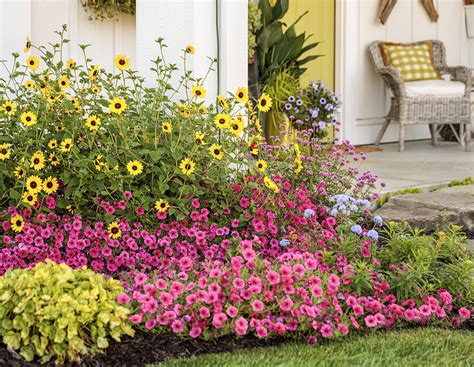 10 Pretty Plant Combinations To Suit Any Garden Style Proven Winners