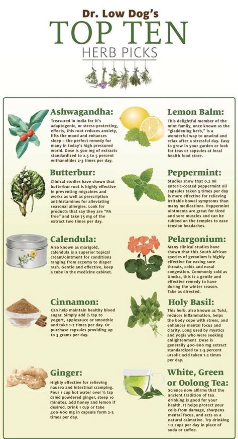 Dr Lowdogs Top 10 Medicinal Herbs From Her Facebook Page Healing