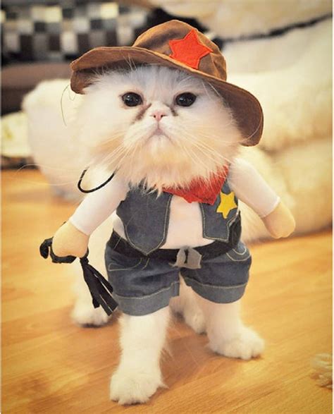 20 Great Cat And Dog Costumes From Etsy Apartment Therapy