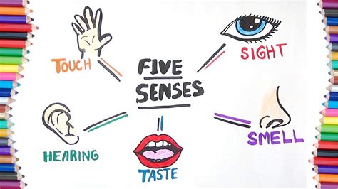 5 Senses How To Draw Youtube