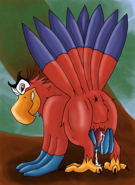 Rule 34 Aladdin Anus Avian Balls Bird Cum Disney Iago Male Male Only