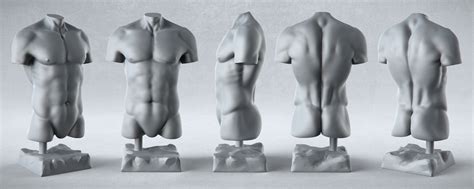 Male Anatomy Studies Pixelpirate