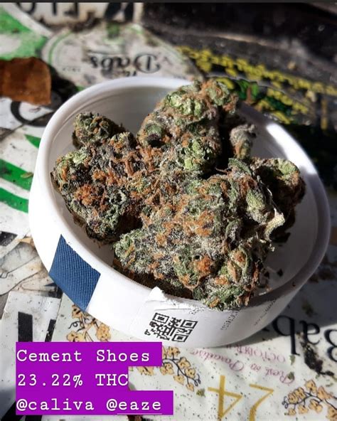 Strain Review: Cement Shoes by Caliva - The Highest Critic