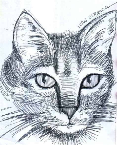 Dibujo Gato A Lapicero Dibujos A Lapicero Arte En Lienzo Pintura Y