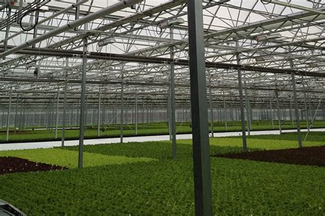 Commercial Hydroponic Systems And Greenhouses By Rough Brothers Inc