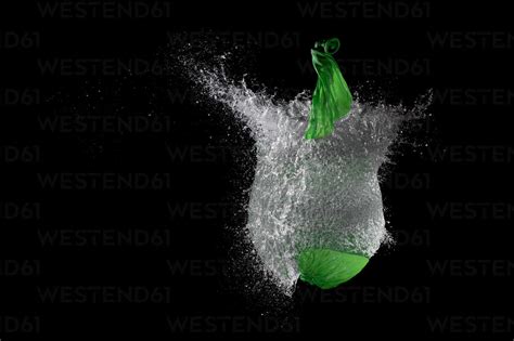 Green Waterballoon Bursting Against Black Background Close Up